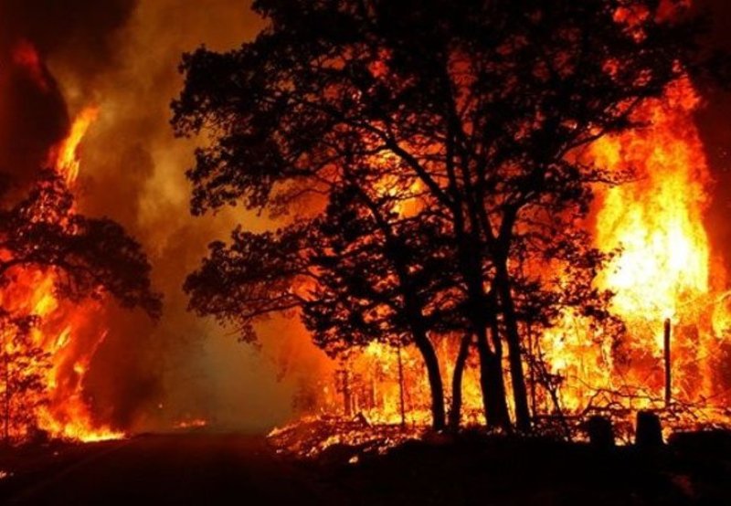 جهت 200 کیلومتر مناطق جنگلی استان «آتش بر» ایجاد شد